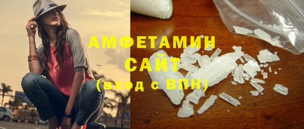 крисы Бородино