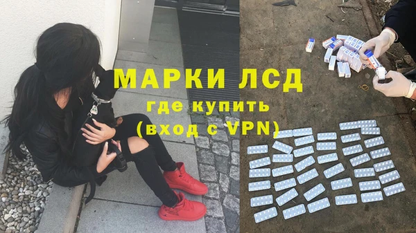 крисы Бородино