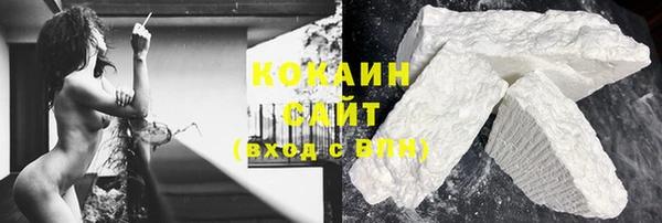 крисы Бородино