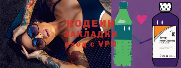 крисы Бородино