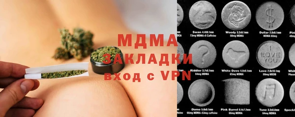 крисы Бородино