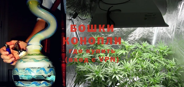 крисы Бородино