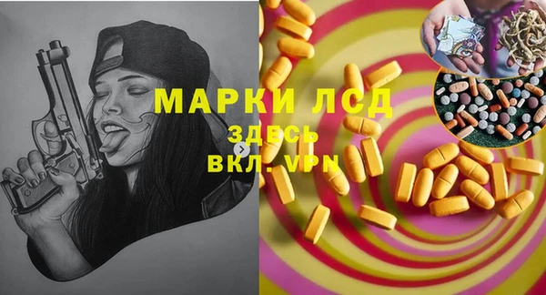 крисы Бородино