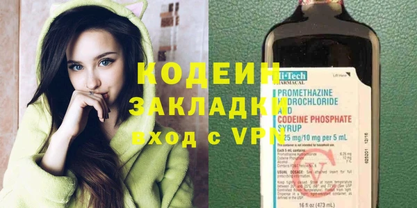 крисы Бородино