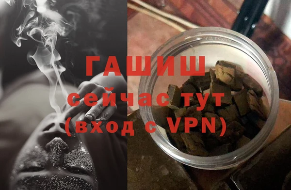 крисы Бородино