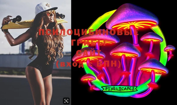ешки Бугульма