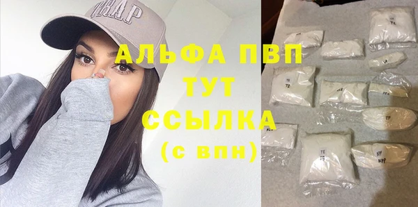 крисы Бородино
