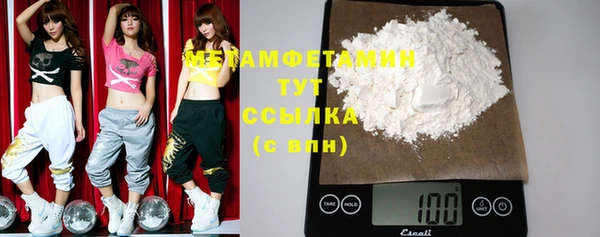 крисы Бородино